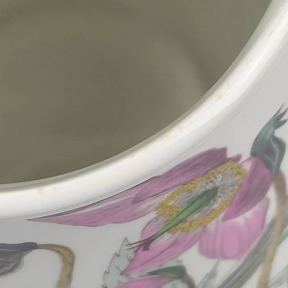 Portmeirion Botanic Garden Christmas Rose Pitcher Jug England Floral